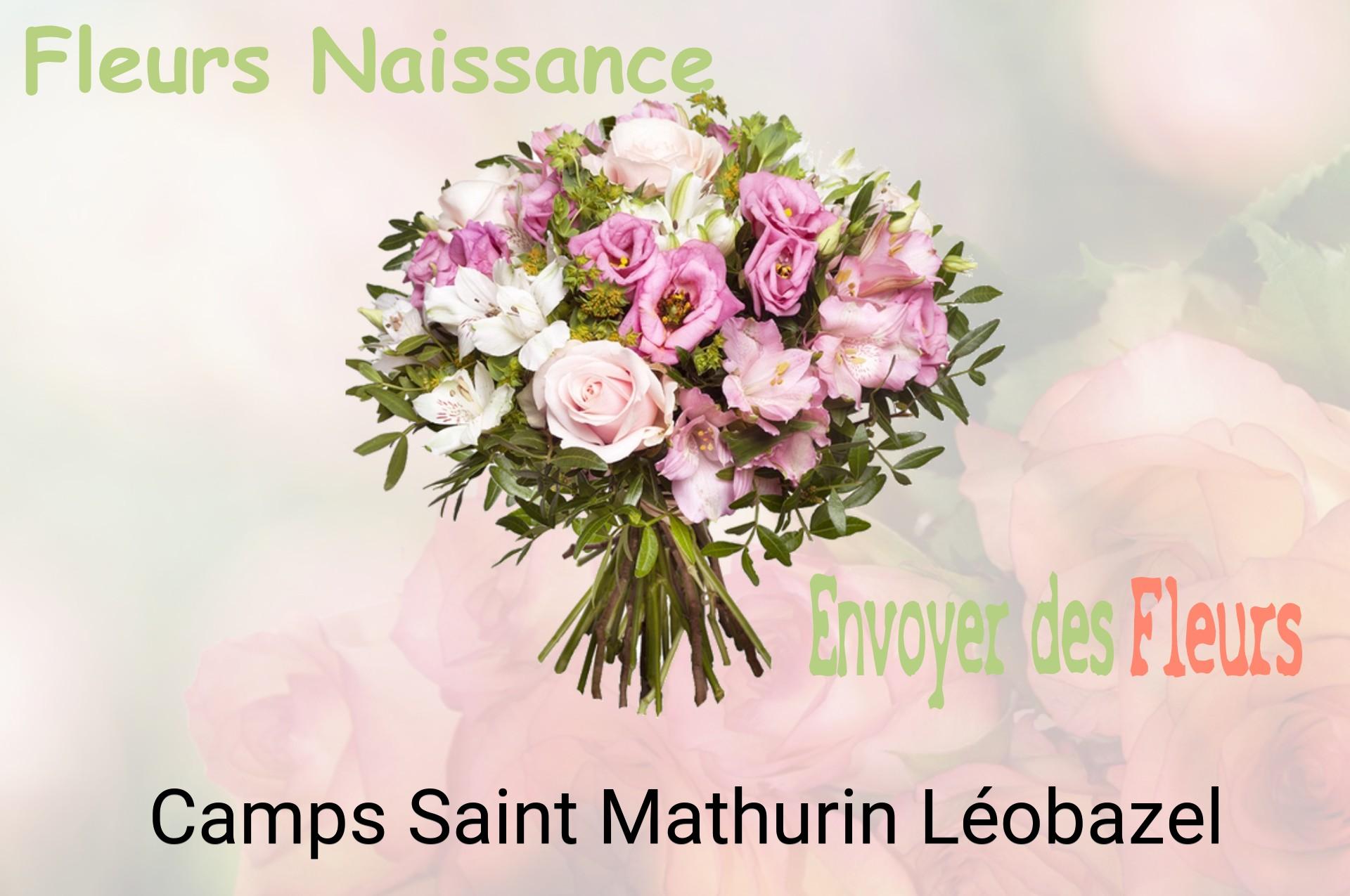 Bouquet de fleurs de naissance livré à Camps-Saint-Mathurin-Léobazel